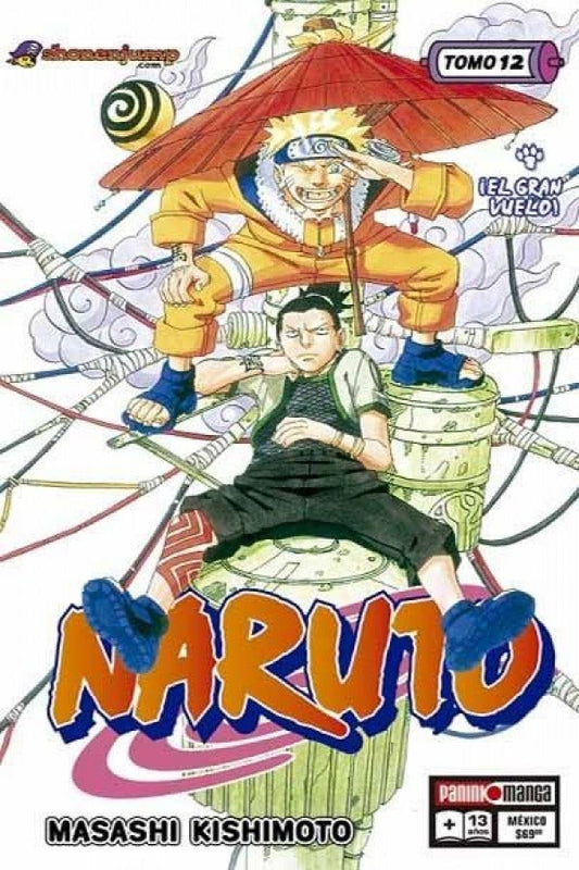 Naruto 12