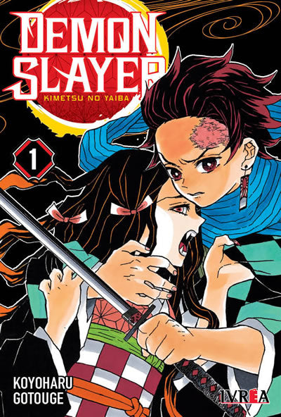 Demon Slayer - Kimetsu No Yaiba 01