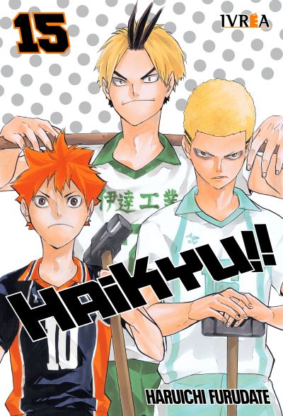 Haikyu!! 15